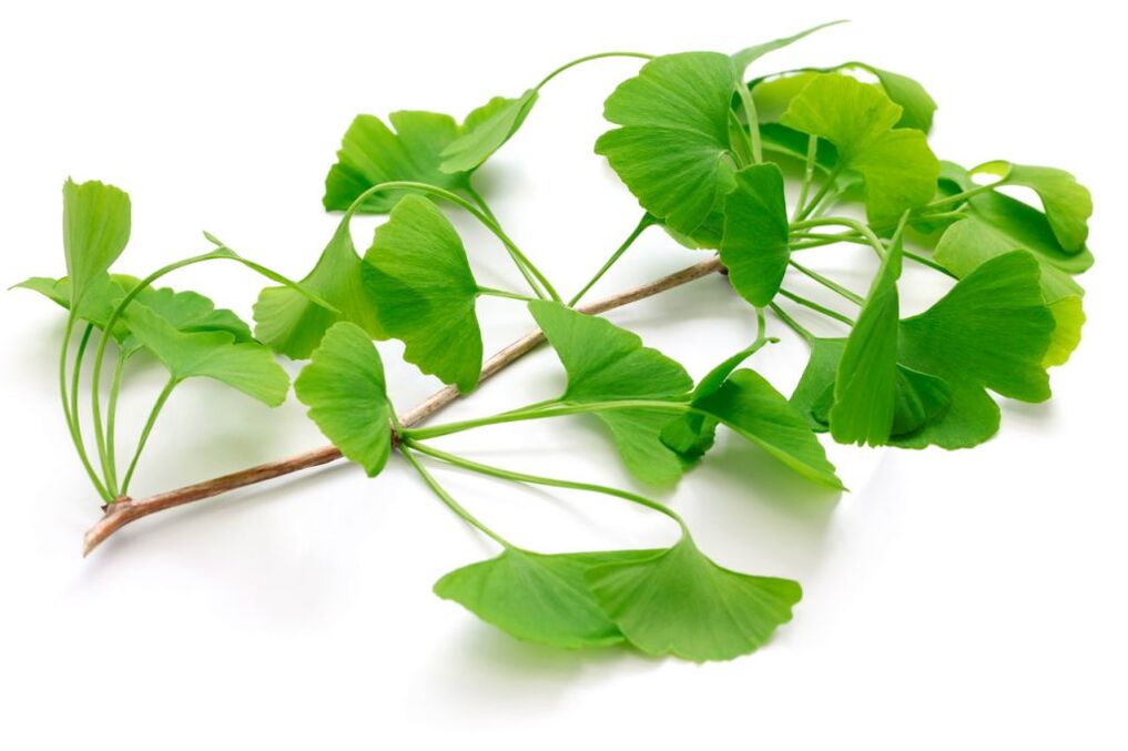 ginkgo biloba kapszulában Insuvit